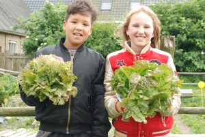 Wonen Noordwest Friesland groentetuin Oudebildtzijl | MKW Platform